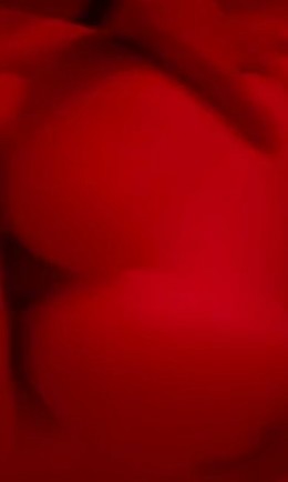 Hailey Sigmond $100 Video With Ex