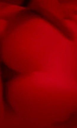 Whipitdev boob drop onlyfans video